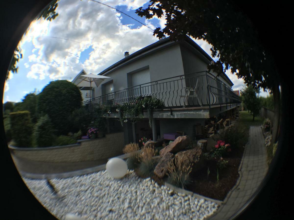 Eguisheim Village Prefere Des Francais Grand Studio Exterior photo